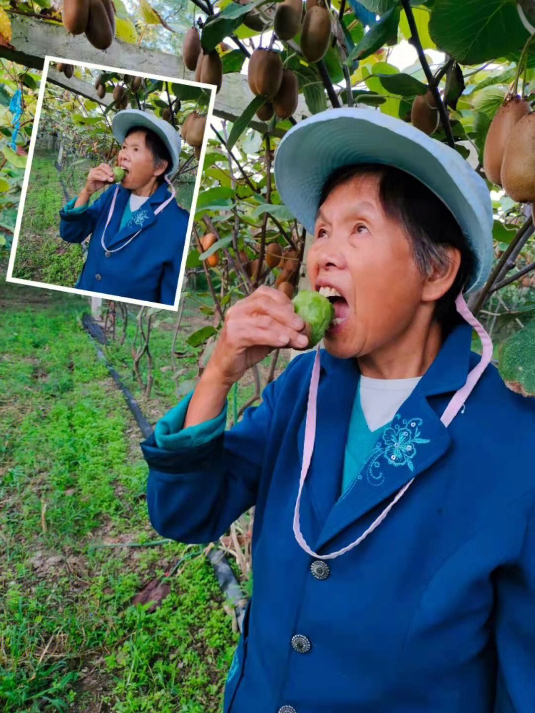 水果奶奶资料论坛，探索最佳排行榜与优质资源