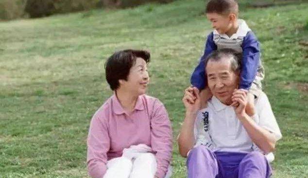 水果奶奶，免费版电视剧的甜蜜回忆