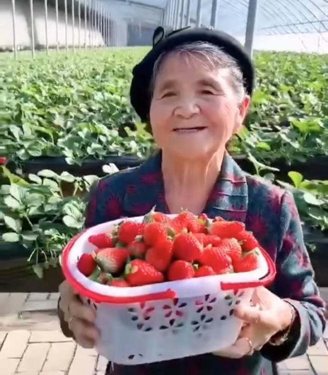 台湾水果奶奶，品味自然之美的甜蜜使者