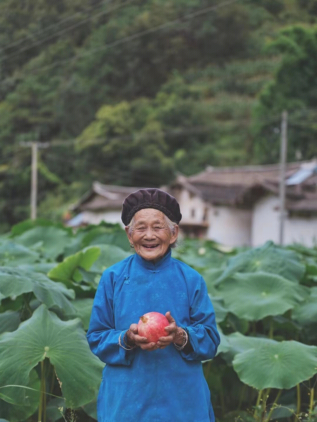 台湾水果奶奶，甜蜜的果实与温馨的笑容