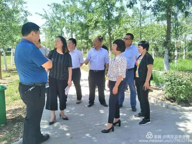 台湾水果奶奶，鲜果之恋，高清壁纸下的甜蜜邬语