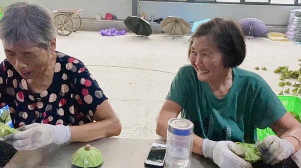 台湾水果奶奶，高清图片大全的魅力与故事