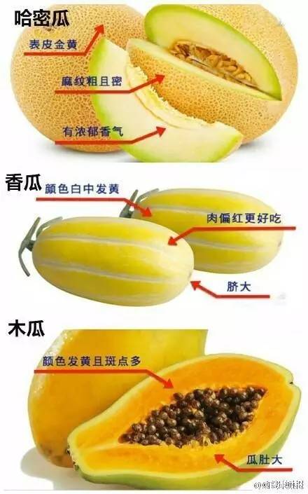 生活甜蜜