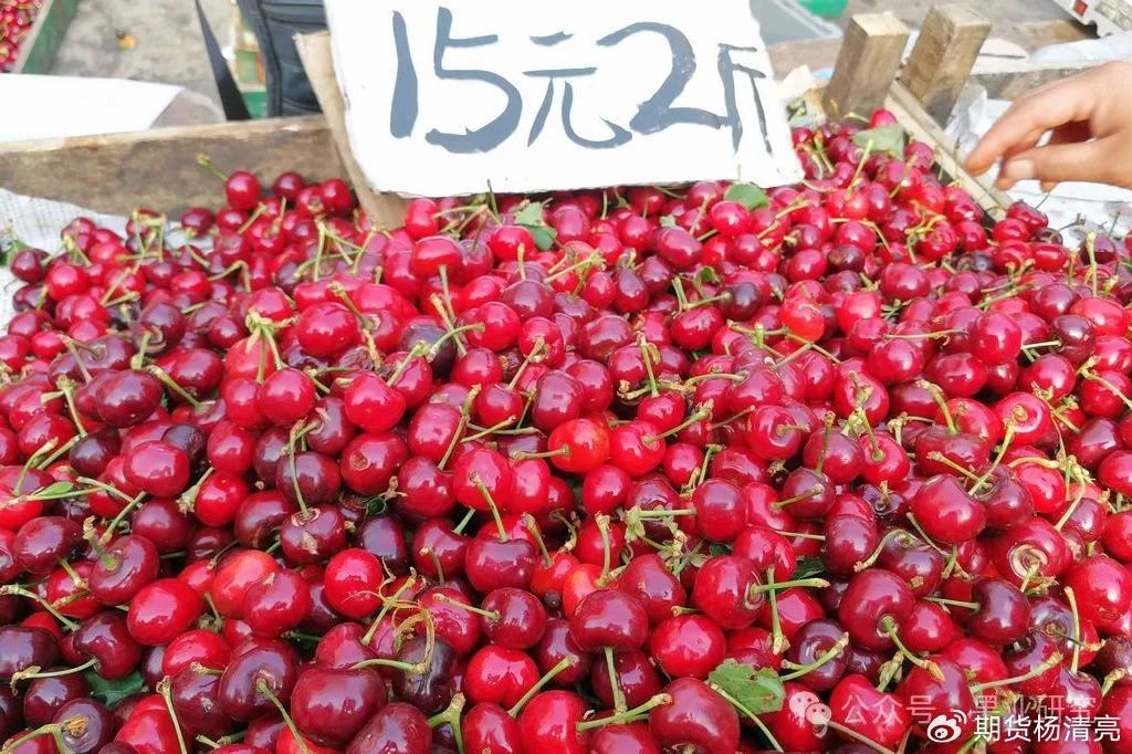 价格行情走势
