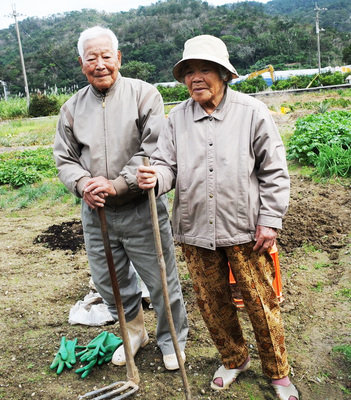 台湾水果奶奶，甜蜜背后的故事与文化传承