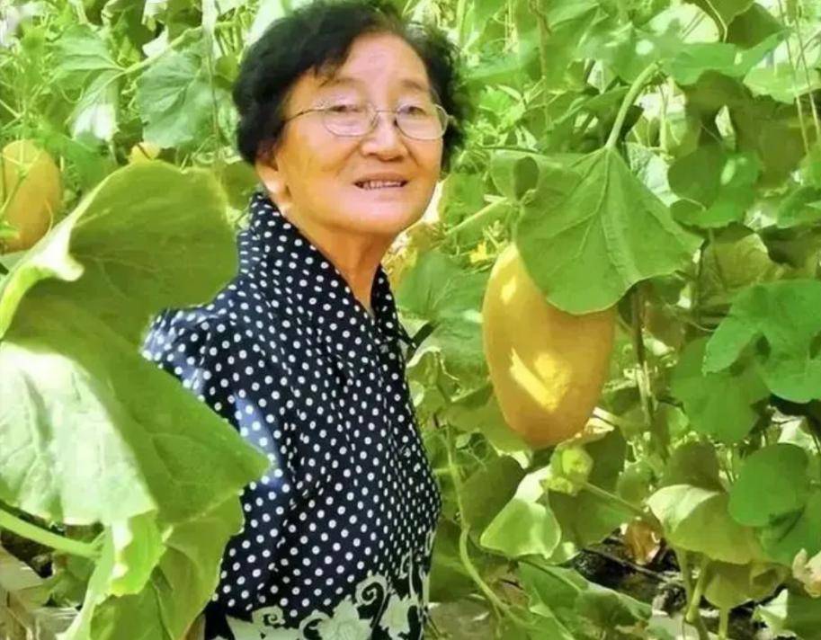 探秘65278与水果奶奶，一场网络热议的真相揭露