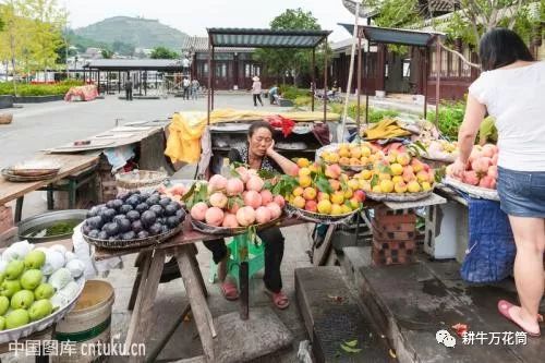 水果奶奶的欢迎阁下吧，6520号果园里的甜蜜故事