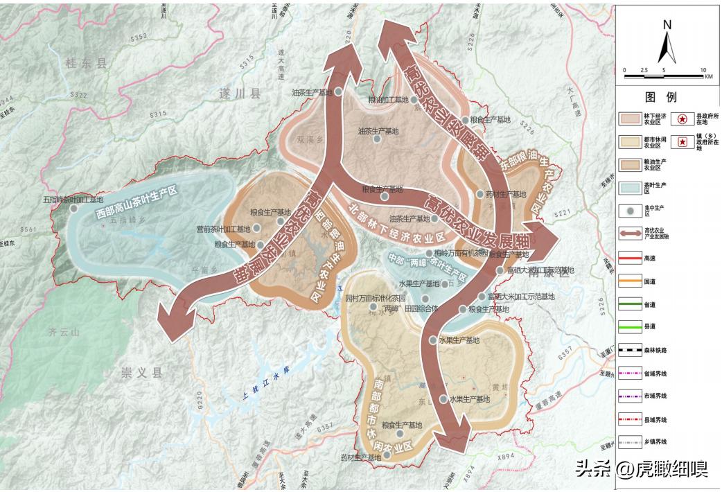 水果奶奶心水报2035，解锁健康生活的甜蜜密码