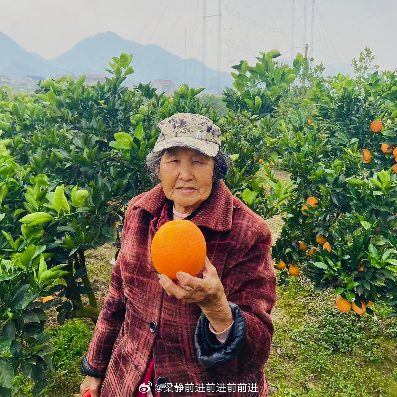 水果奶奶的心水第二论坛，欢迎阁下光临
