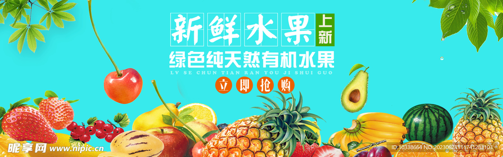 水果奶奶的精选免费资料，最新中文版指南