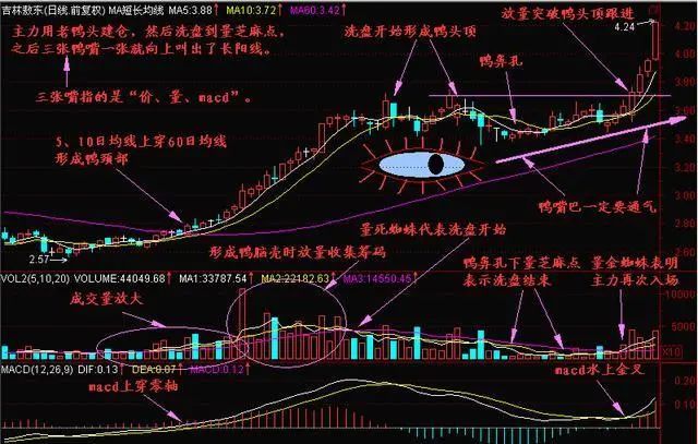 安徽快三开奖结果走势图，数字背后的奥秘与预测艺术