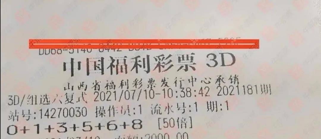 3D彩民乐，钱树图库的神秘魅力与理性选择