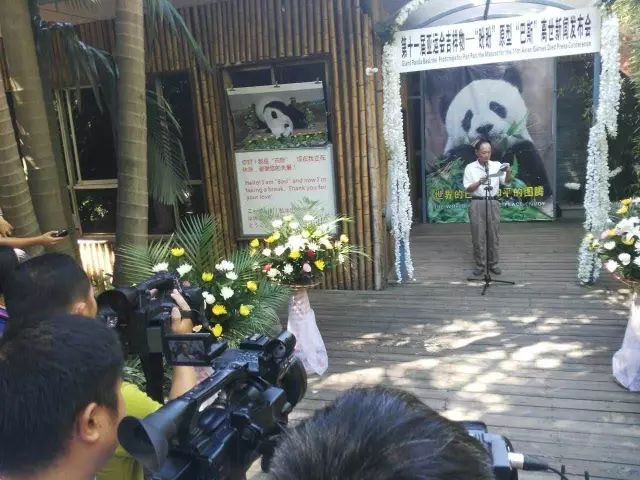 铭记与哀思，大熊猫去世名单的背后故事