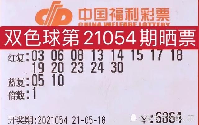 探索双色球第204期，梦想与现实的交汇