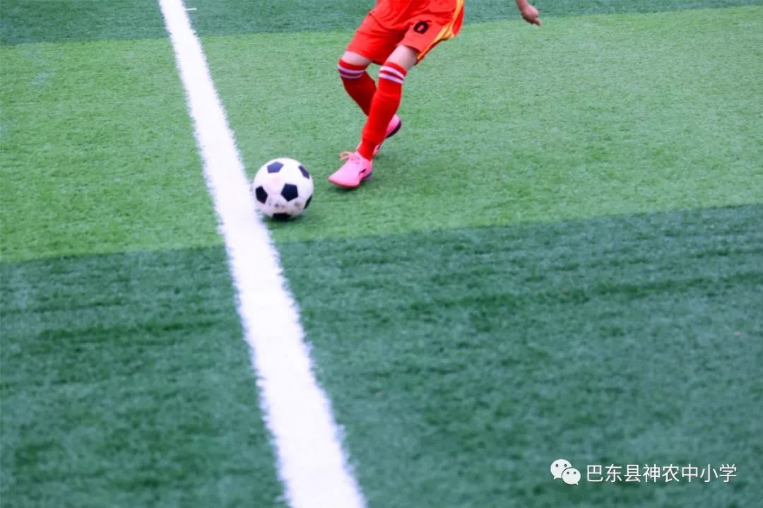 足球激情，直击赛场——CCTV5直播带来的现场盛宴
