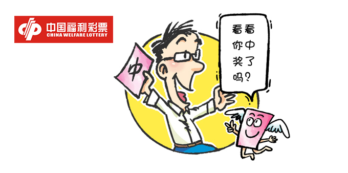 浙江福利彩票，揭秘开奖号码背后的故事与影响