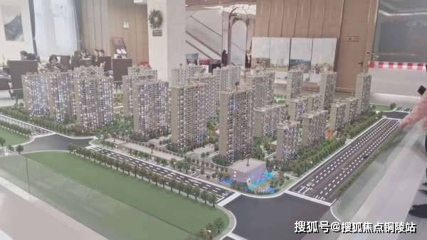 真准网双色球综合走势，揭秘数字背后的奥秘