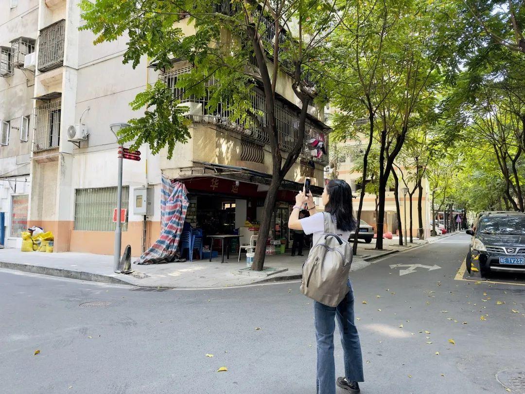 50年后的互联网，探索五百万网站的未来图景