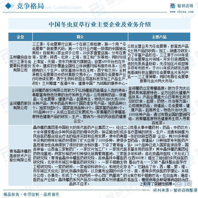 双色球360度媒体预测分析——科学理性投注的智慧指南