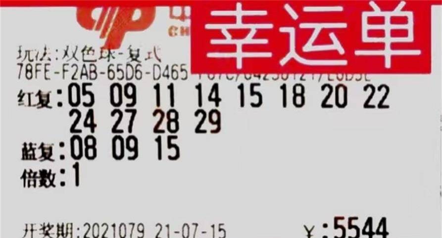 20146期双色球开奖结果揭晓，幸运数字照亮梦想之路