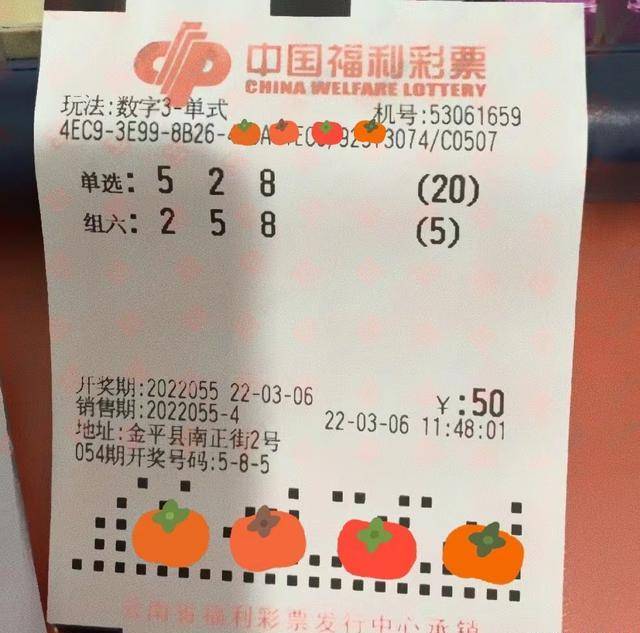 辽宁福利彩票3D，小投入大梦想的公益之选