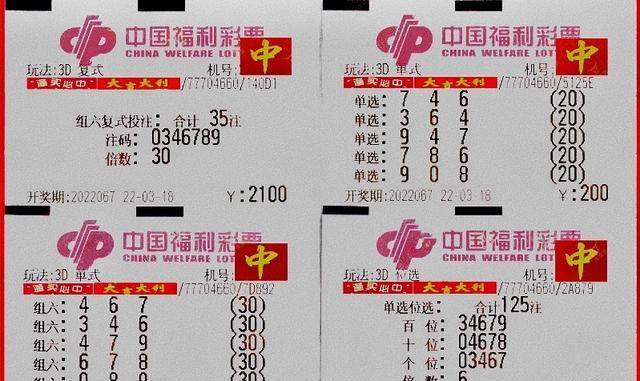 福彩3D字谜图解，布衣天下，智慧之光的汇聚