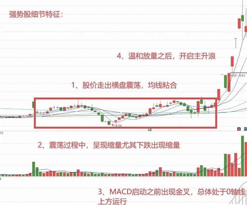 管家婆的资料一肖中特，揭秘背后的神秘与智慧管家婆1肖中特