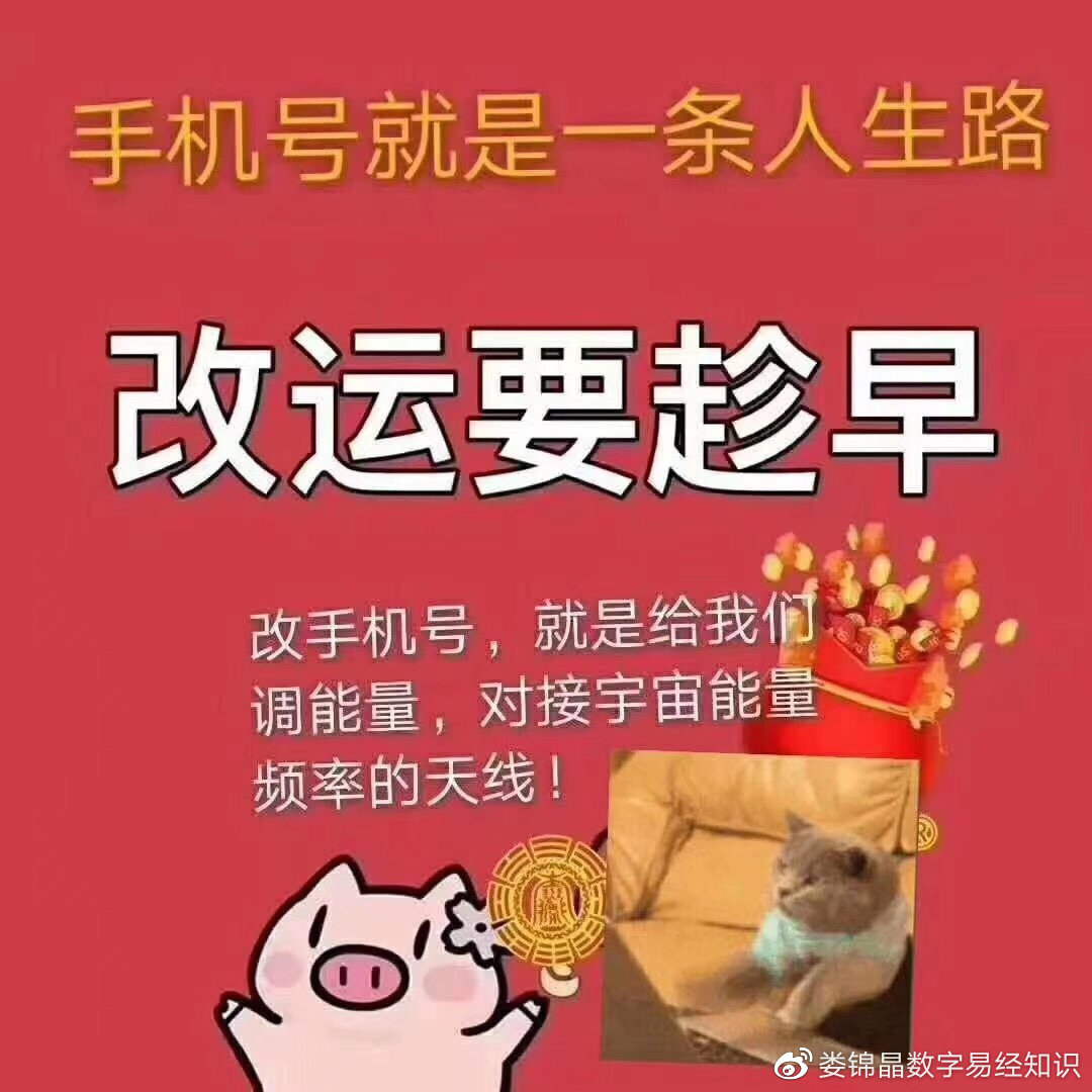 2035年，展望未来，澳门彩票的数字化新篇章2023年今晚澳门开奖结果是多少号呢视频直播回放网