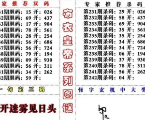 福彩3D字谜图解总汇，第241期至巅峰的探索之旅