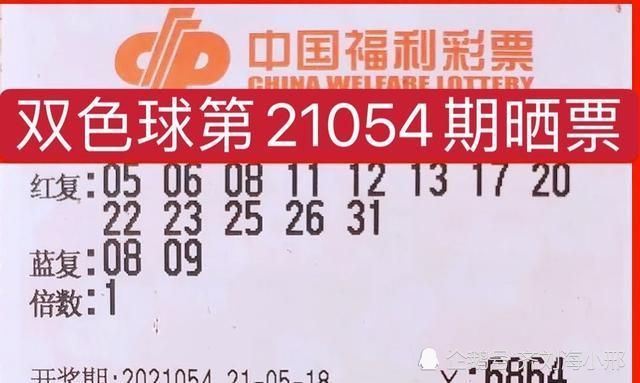 探索双色球福彩，梦想与现实的交汇点