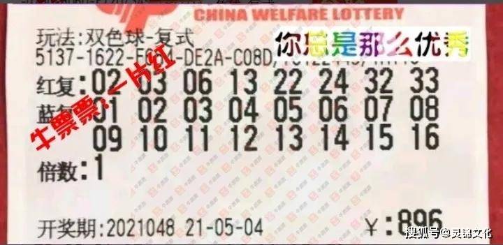 探索体彩7位数，数字的魔力与幸运之旅