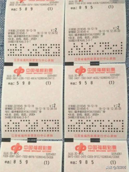 福利彩票，双色球与福彩3D的幸运之旅