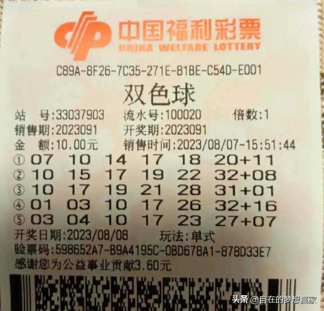 2035年，展望未来，澳门彩票的数字化与公益新篇章2023年今晚澳门开奖结果出来