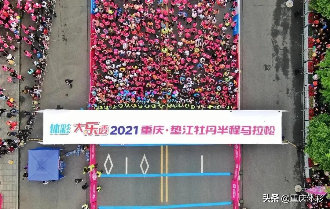 探索中国体育彩票直播的魅力，在线观看新体验
