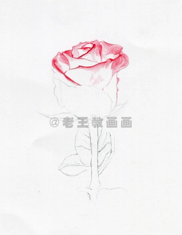 排列三走势图P3，数字游戏中的智慧与策略