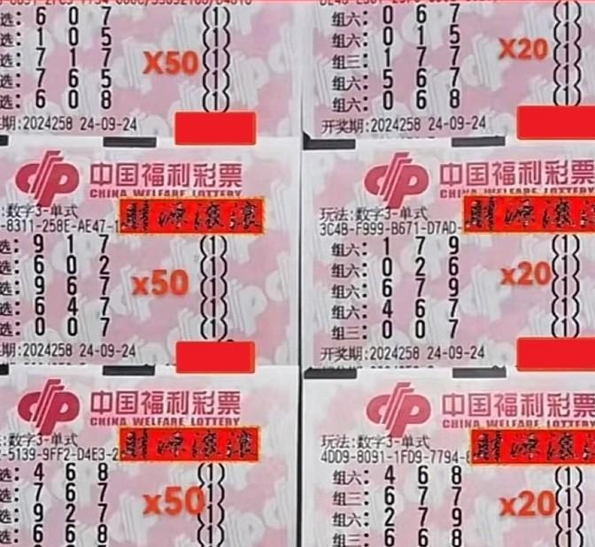 福彩3D彩票号码，随机与幸运的奇妙碰撞