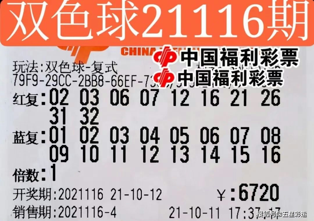 探索双色球历史开奖结果，一场数字与运气的奇妙之旅