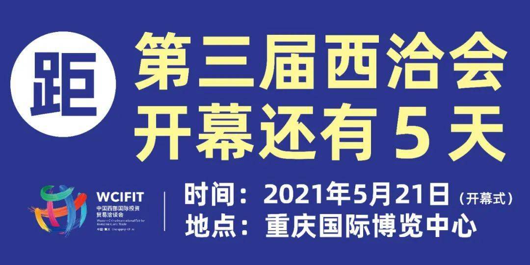 15选五，揭秘新浪开奖结果背后的故事