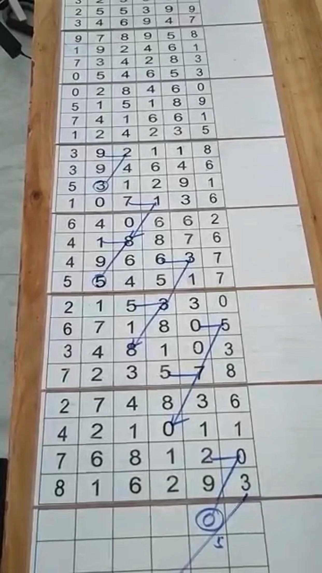 探索中国体彩网排列三走势图，数字背后的奥秘与策略