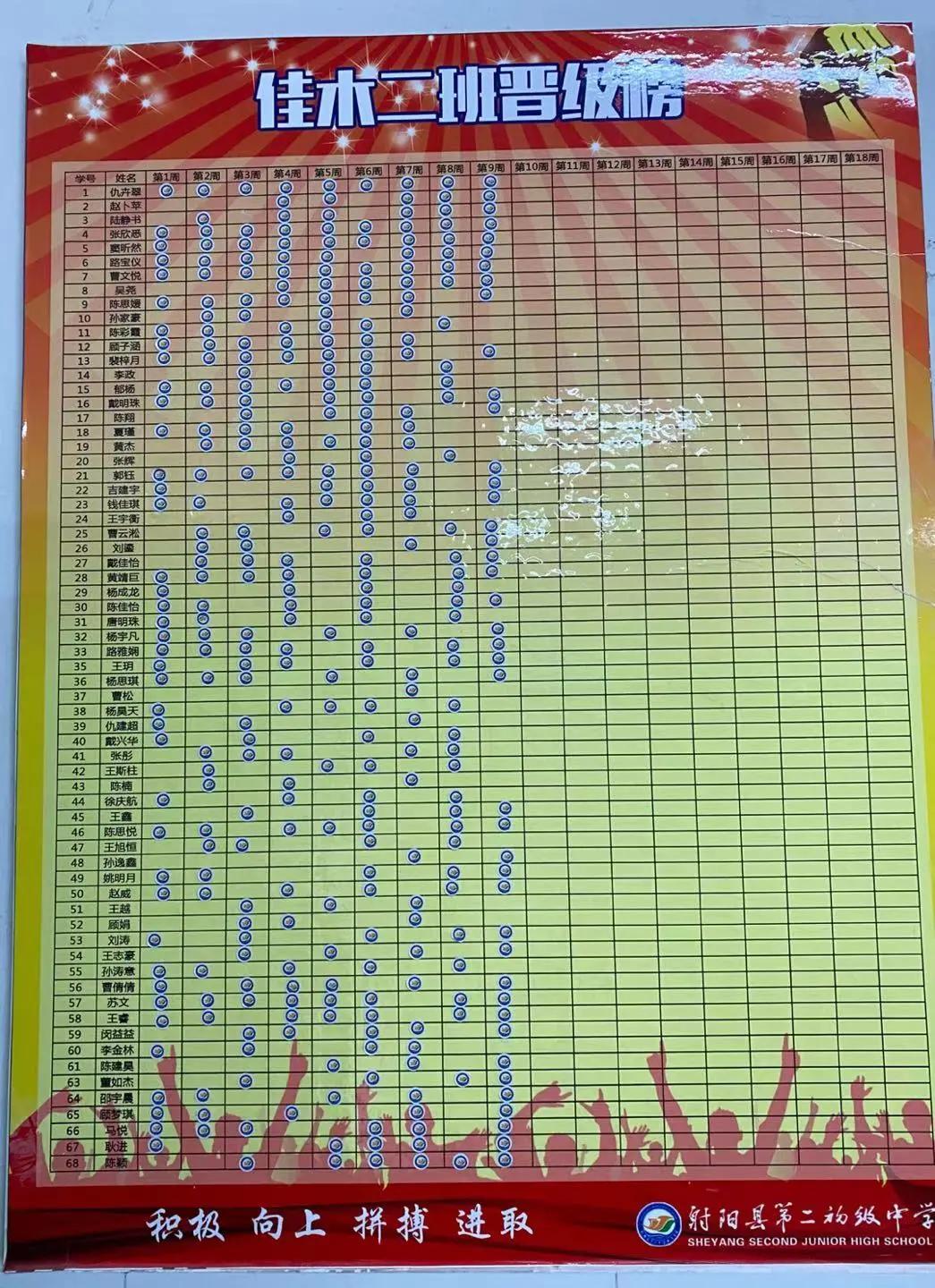 探索六仺彩历史开奖记录，一场数字与概率的奇妙之旅