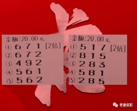 探索中国福利彩票3D图谜的奇妙世界，解锁幸运密码