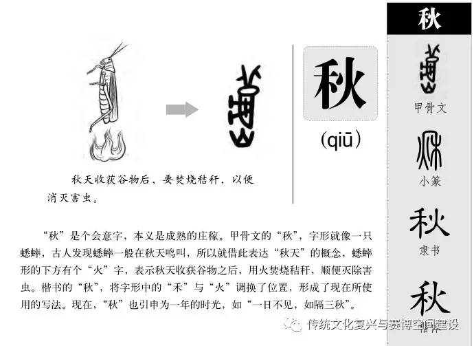 今晚六开彩，揭秘背后的数字游戏与期待今晚六开彩开奖结果 开奖结果合八仙过海