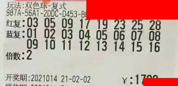 2041年双色球新春开奖，梦想与幸运的碰撞