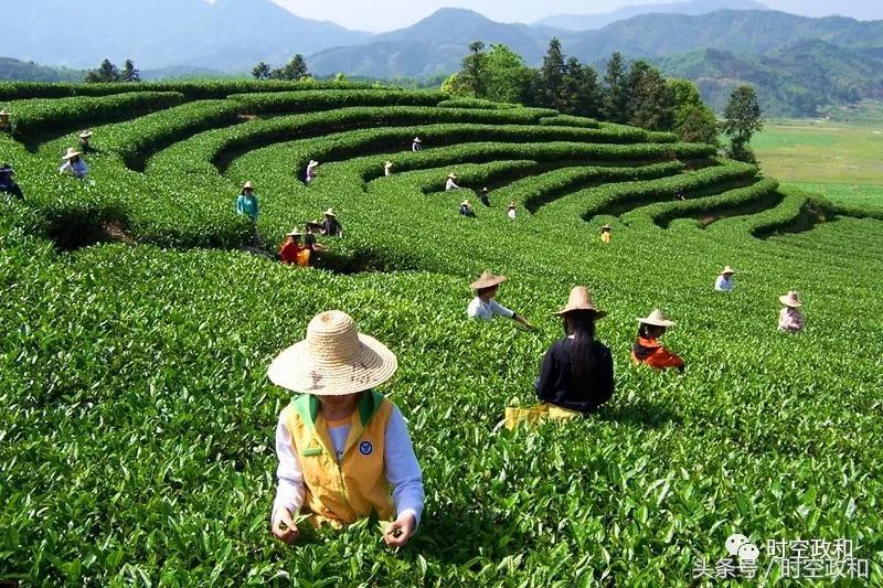 福彩华东十五选五，揭秘开奖结果与中大奖的秘密
