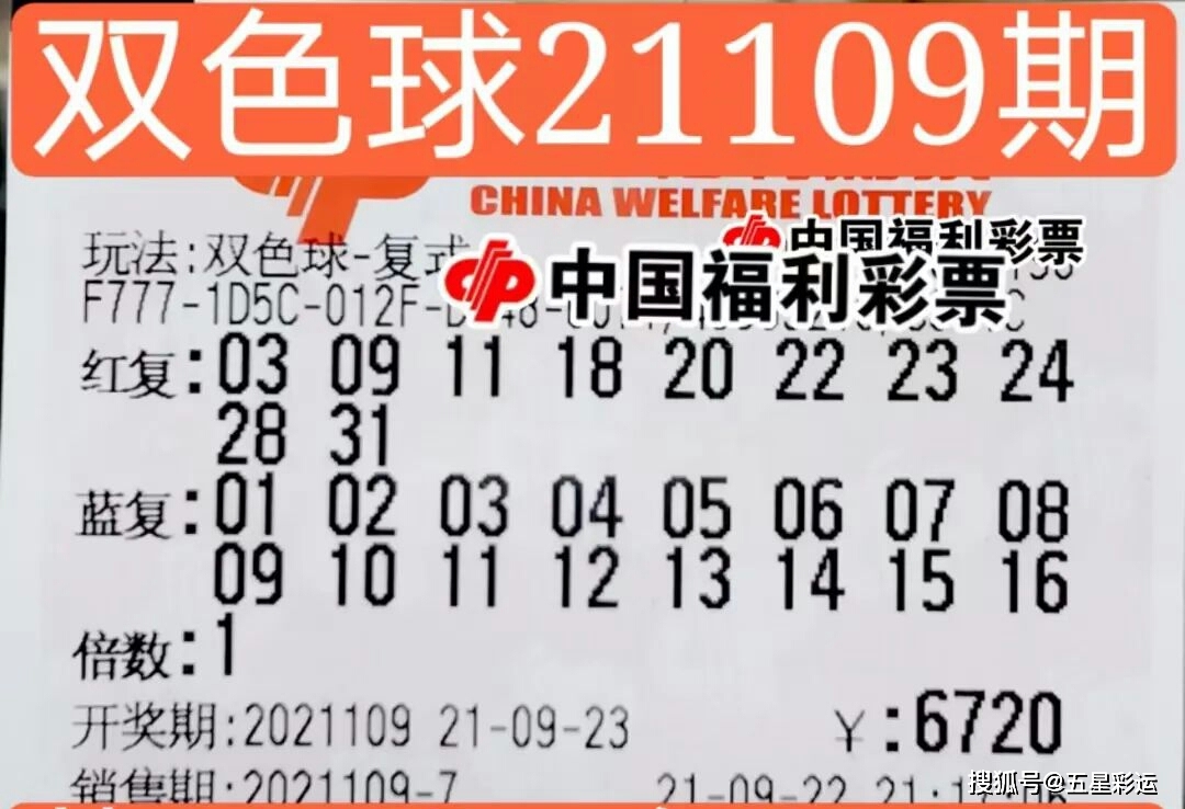 福彩双色球字谜大全，解锁幸运密码的智慧之钥