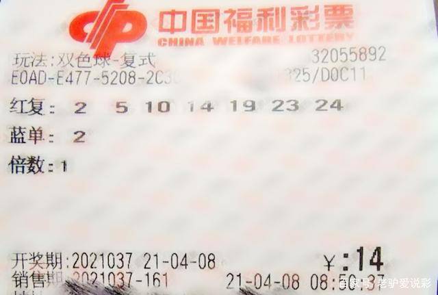 彩票，一夜暴富的梦幻与现实