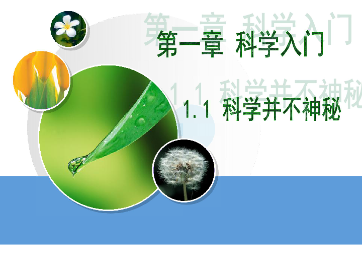 下一期中奖号码的神秘面纱，科学预测与理性期待