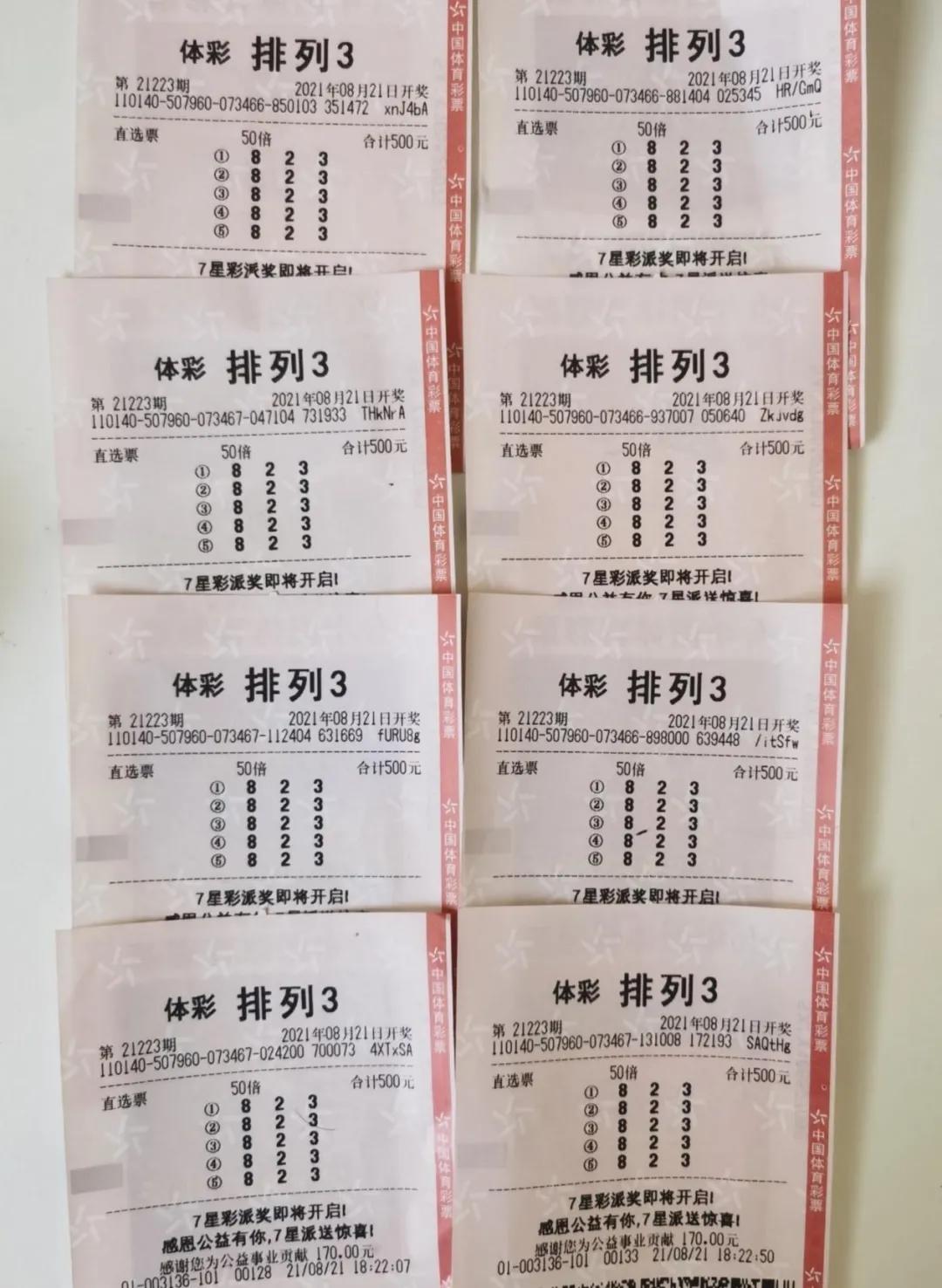 探索福彩3D与排三的奇妙世界，乐在其中的数字游戏