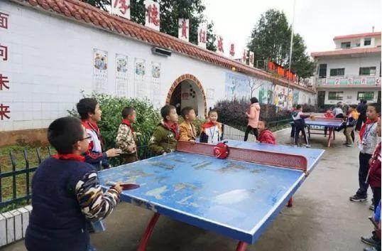 360体彩网，数字彩票的智慧选择与安全体验