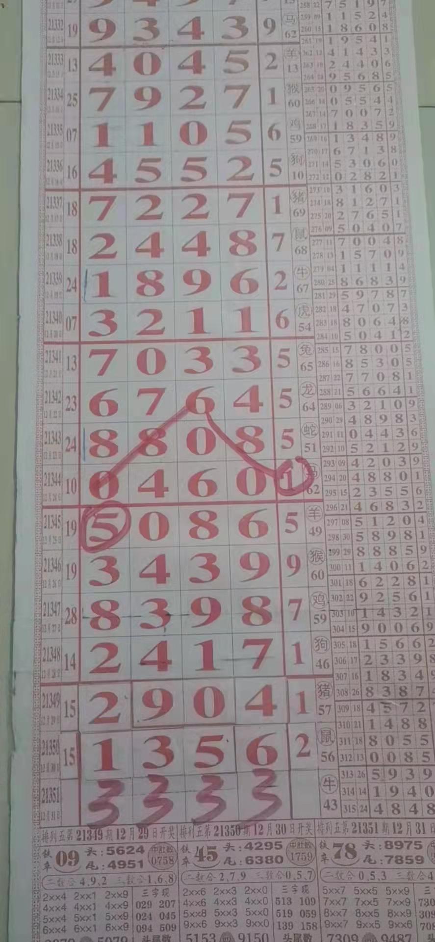 探索体彩排列5走势图和值，揭秘数字背后的规律与策略